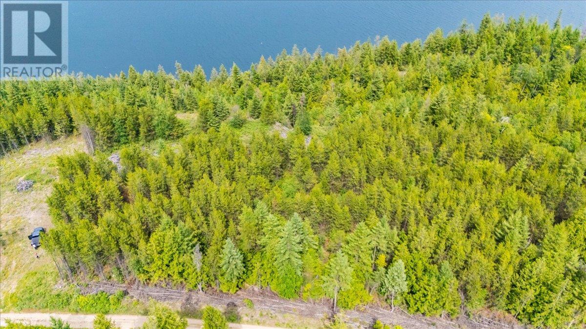 Lower Arrow Lake Lot# 5, Castlegar, British Columbia  V1N 3H9 - Photo 42 - 10353636