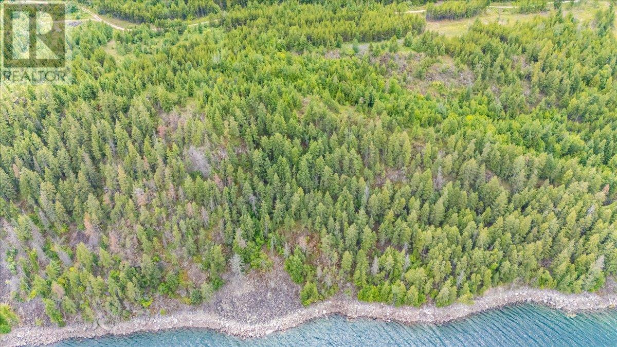 Lower Arrow Lake Lot# 5, Castlegar, British Columbia  V1N 3H9 - Photo 43 - 10353636