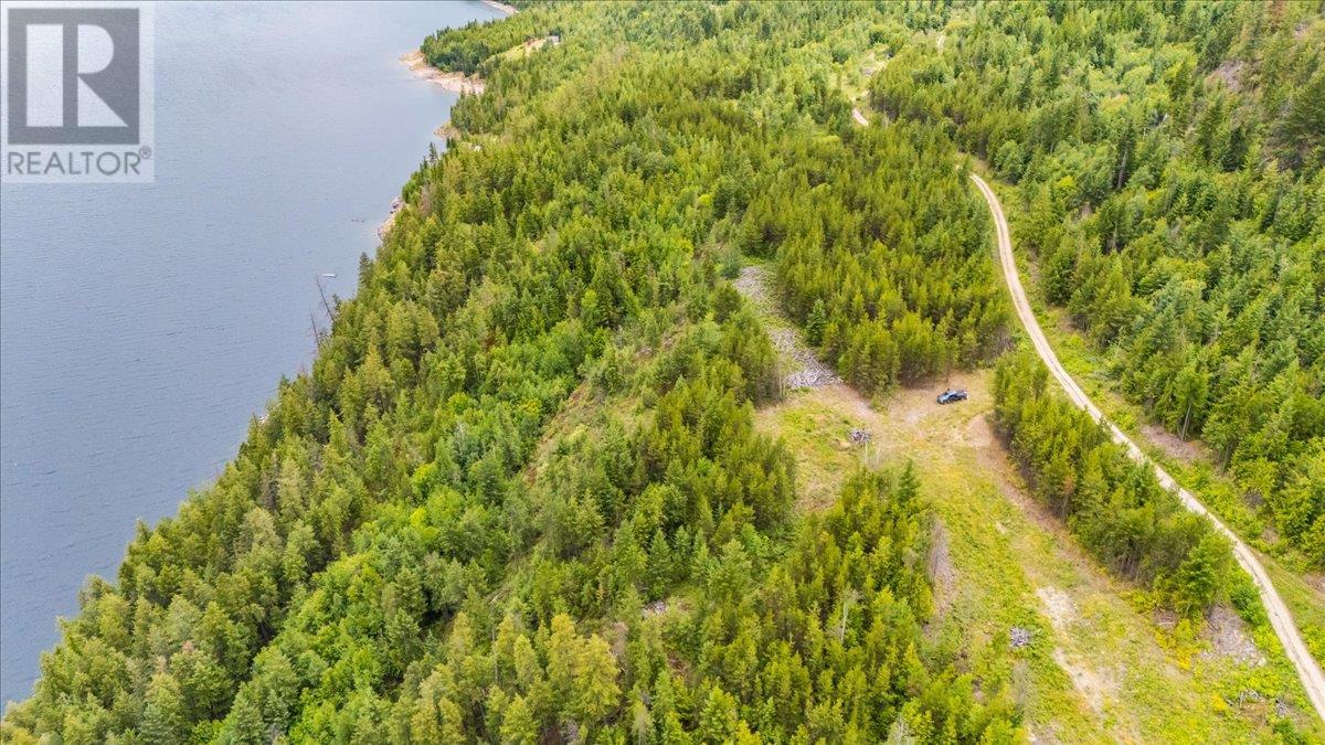 Lower Arrow Lake Lot# 5, Castlegar, British Columbia  V1N 3H9 - Photo 46 - 10353636