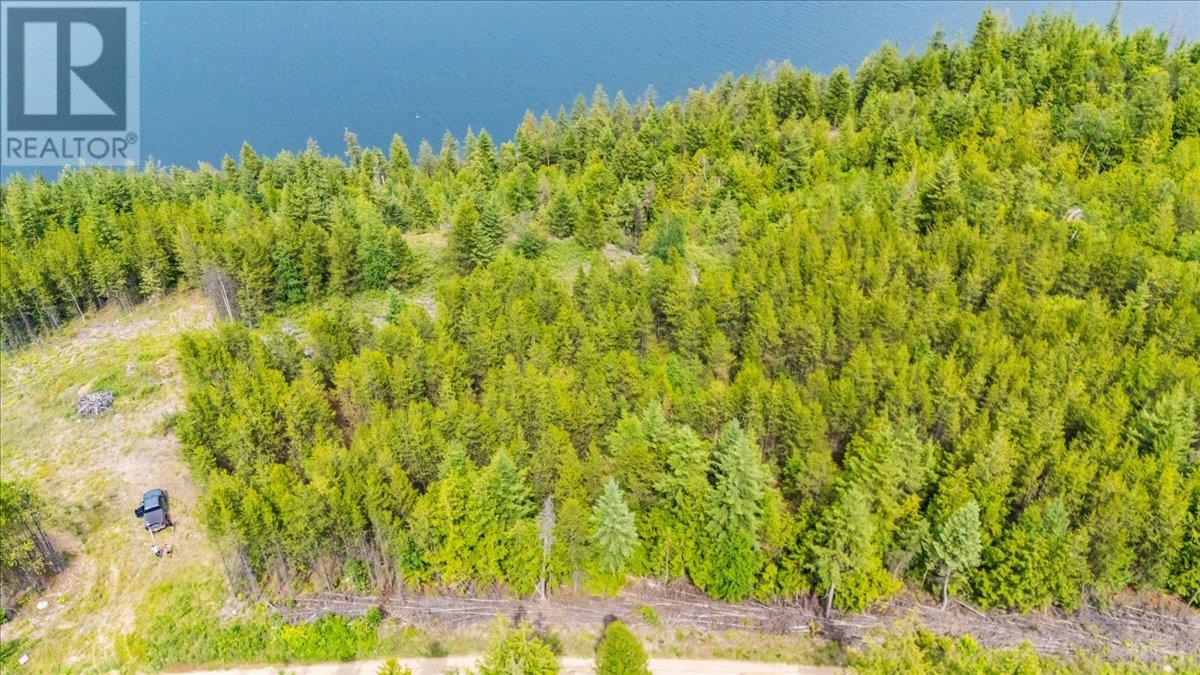 Lower Arrow Lake Lot# 5, Castlegar, British Columbia  V1N 3H9 - Photo 48 - 10353636