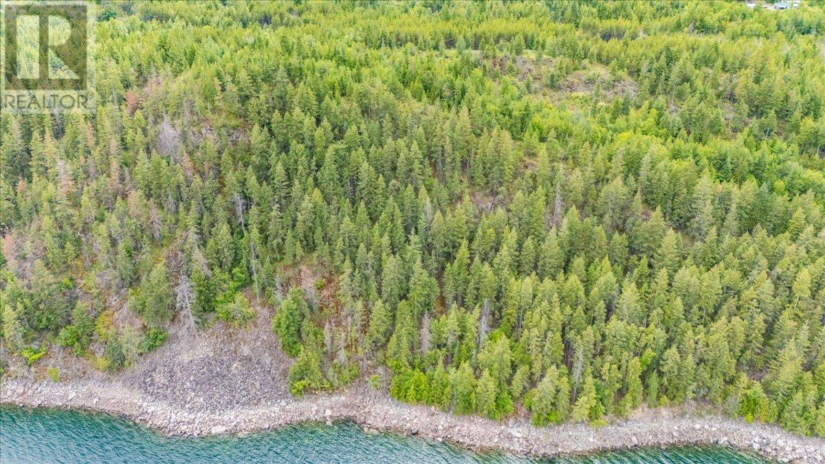 Lower Arrow Lake Lot# 5, Castlegar, British Columbia  V1N 3H9 - Photo 49 - 10353636