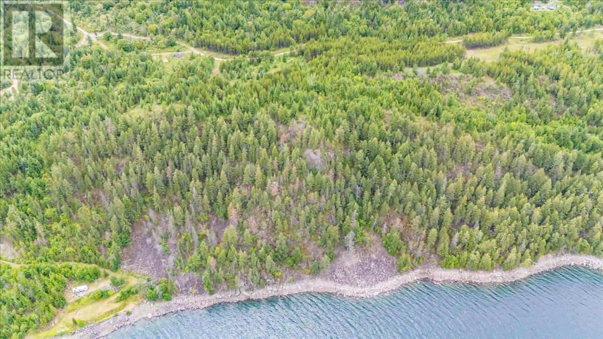 Lower Arrow Lake Lot# 5, Castlegar, British Columbia  V1N 3H9 - Photo 5 - 10353636