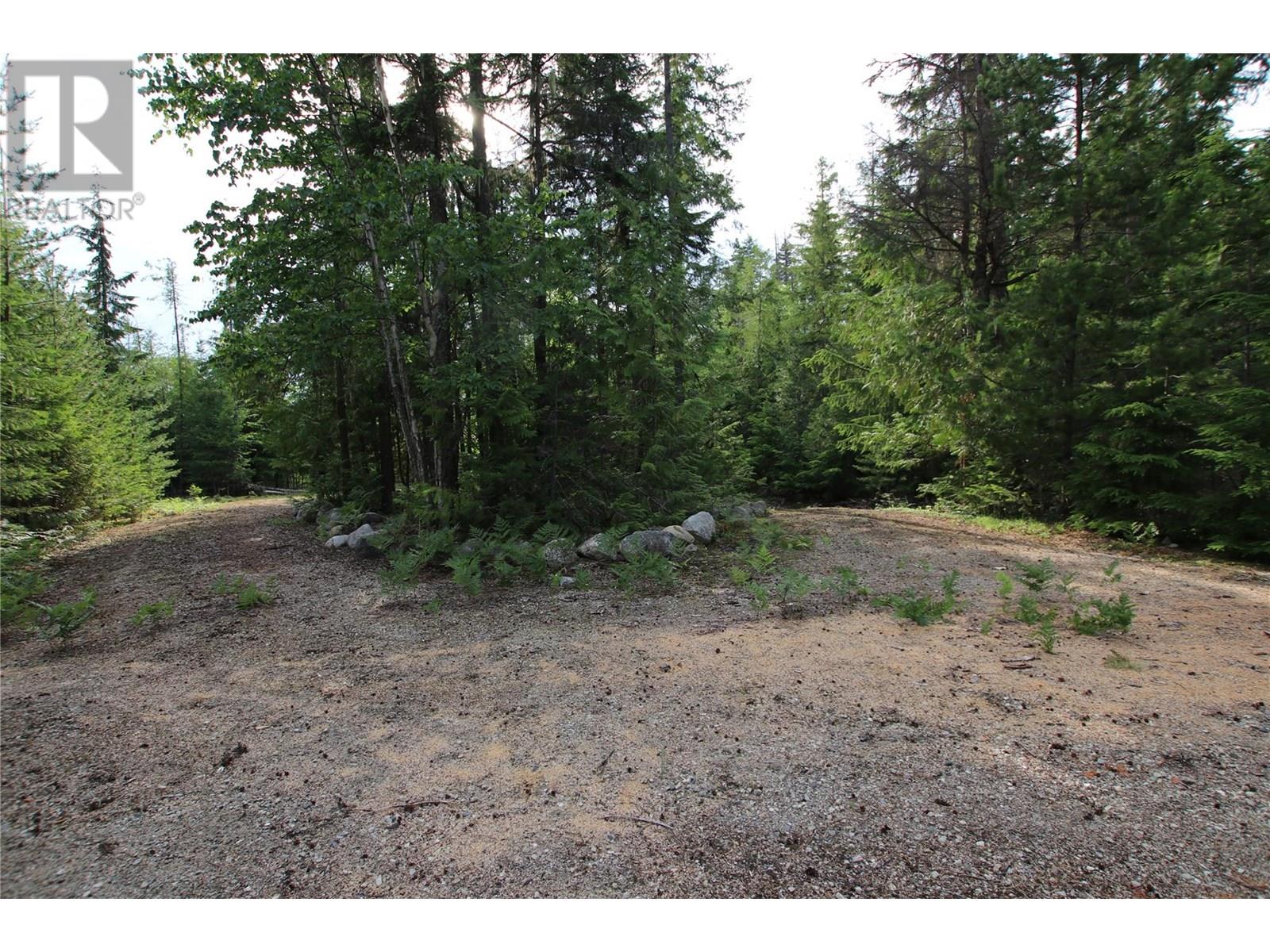 854 Alexander Road, Nakusp, British Columbia  V0G 1R1 - Photo 10 - 10353334