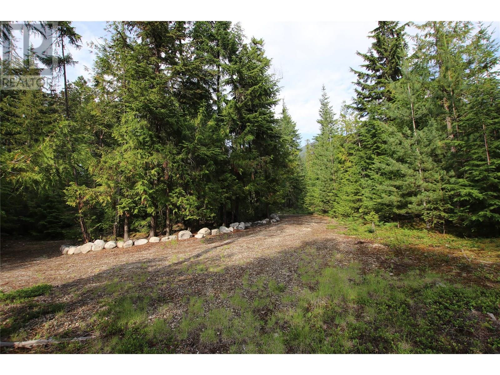 854 Alexander Road, Nakusp, British Columbia  V0G 1R1 - Photo 11 - 10353334