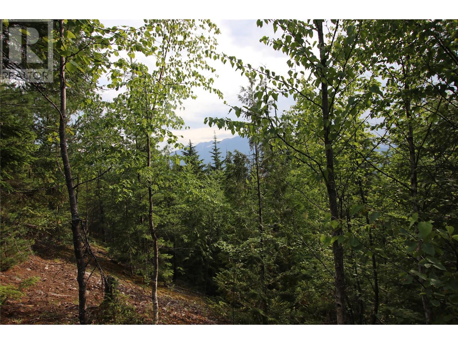 854 Alexander Road, Nakusp, British Columbia  V0G 1R1 - Photo 12 - 10353334