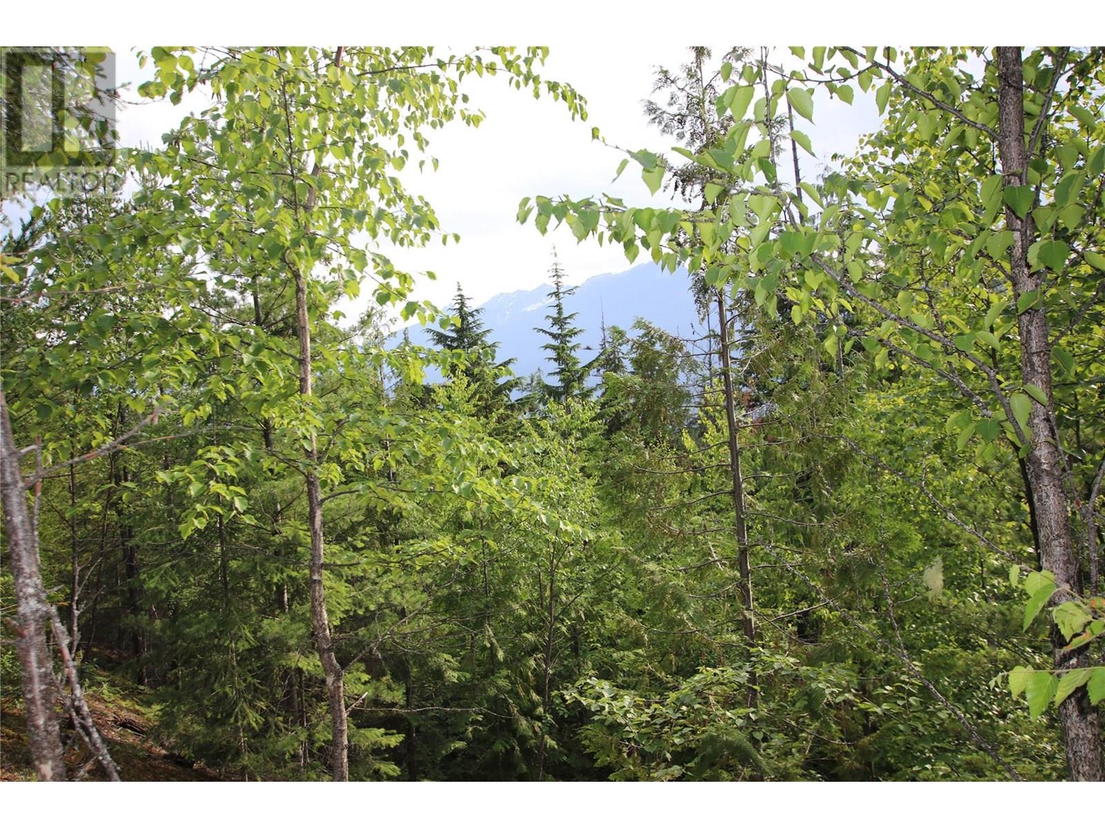 854 Alexander Road, Nakusp, British Columbia  V0G 1R1 - Photo 13 - 10353334