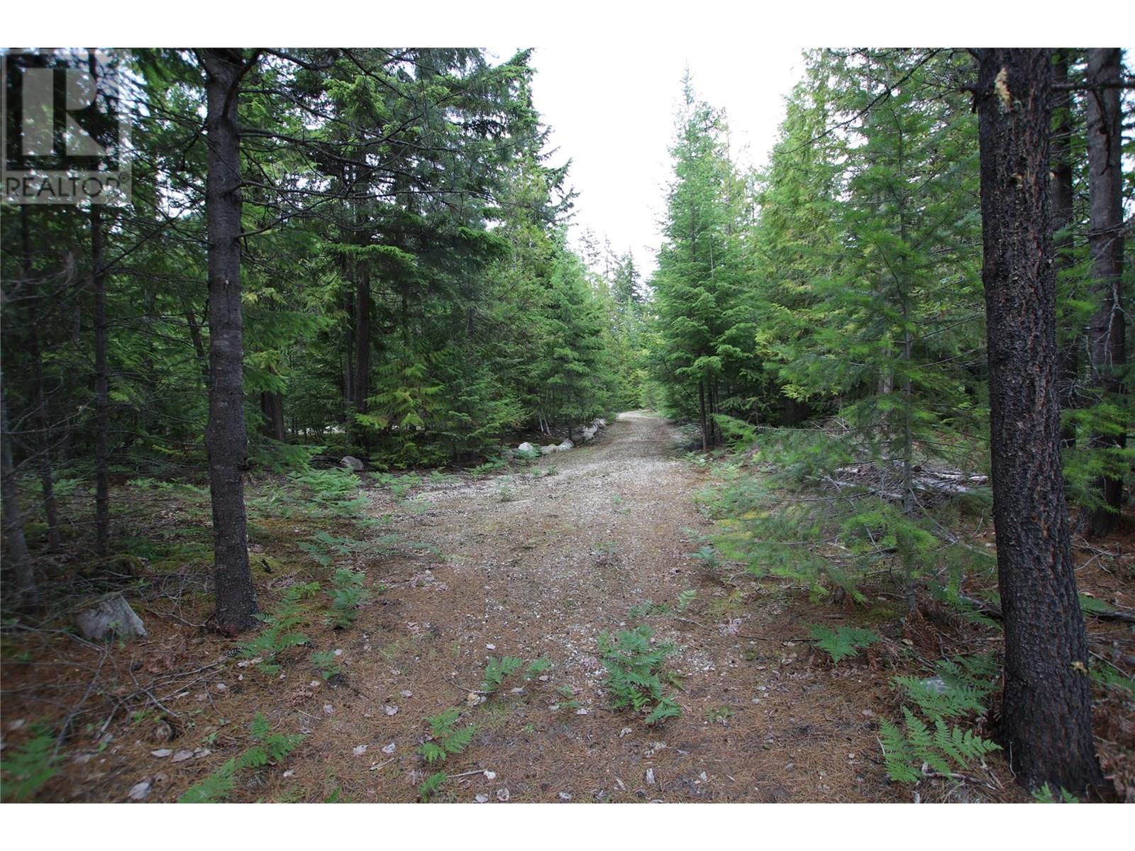 854 Alexander Road, Nakusp, British Columbia  V0G 1R1 - Photo 14 - 10353334