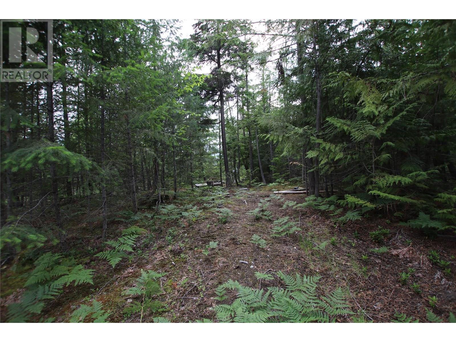 854 Alexander Road, Nakusp, British Columbia  V0G 1R1 - Photo 15 - 10353334