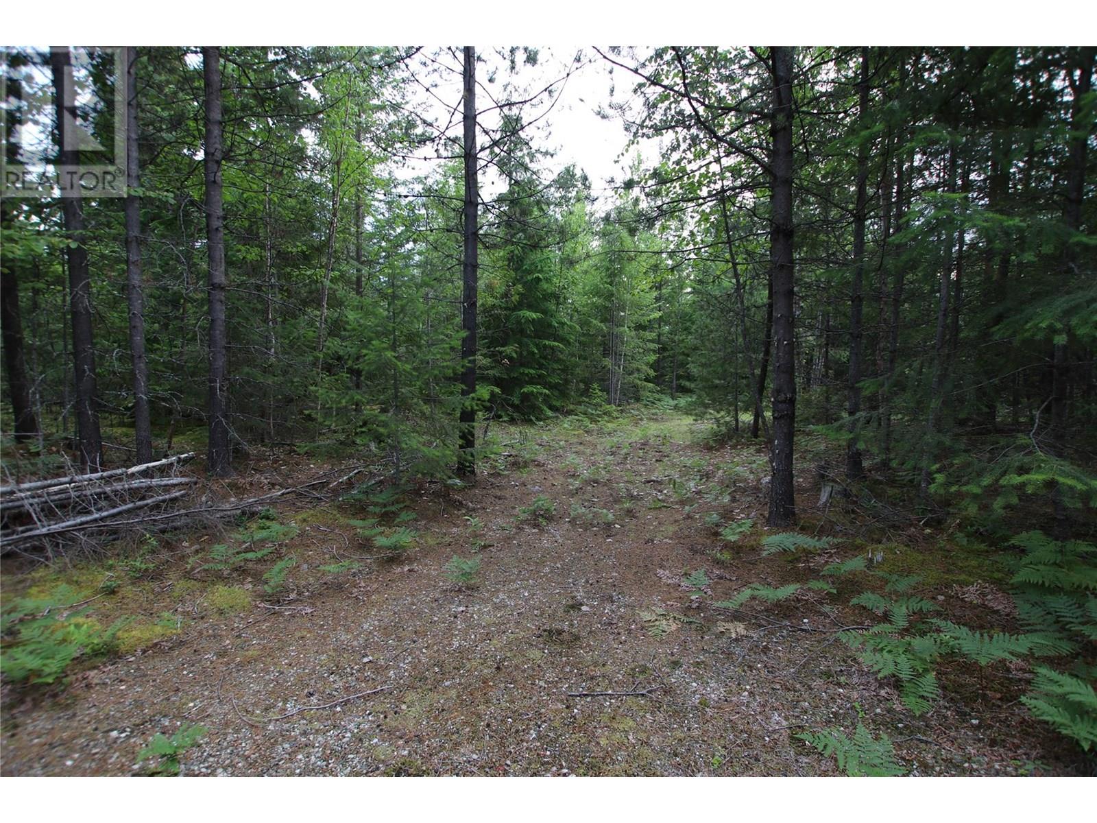 854 Alexander Road, Nakusp, British Columbia  V0G 1R1 - Photo 16 - 10353334