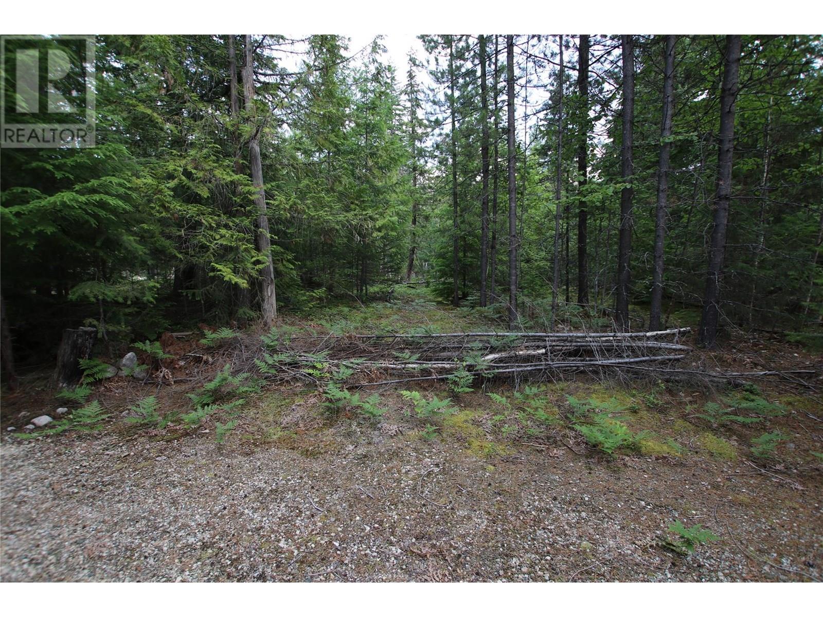 854 Alexander Road, Nakusp, British Columbia  V0G 1R1 - Photo 17 - 10353334