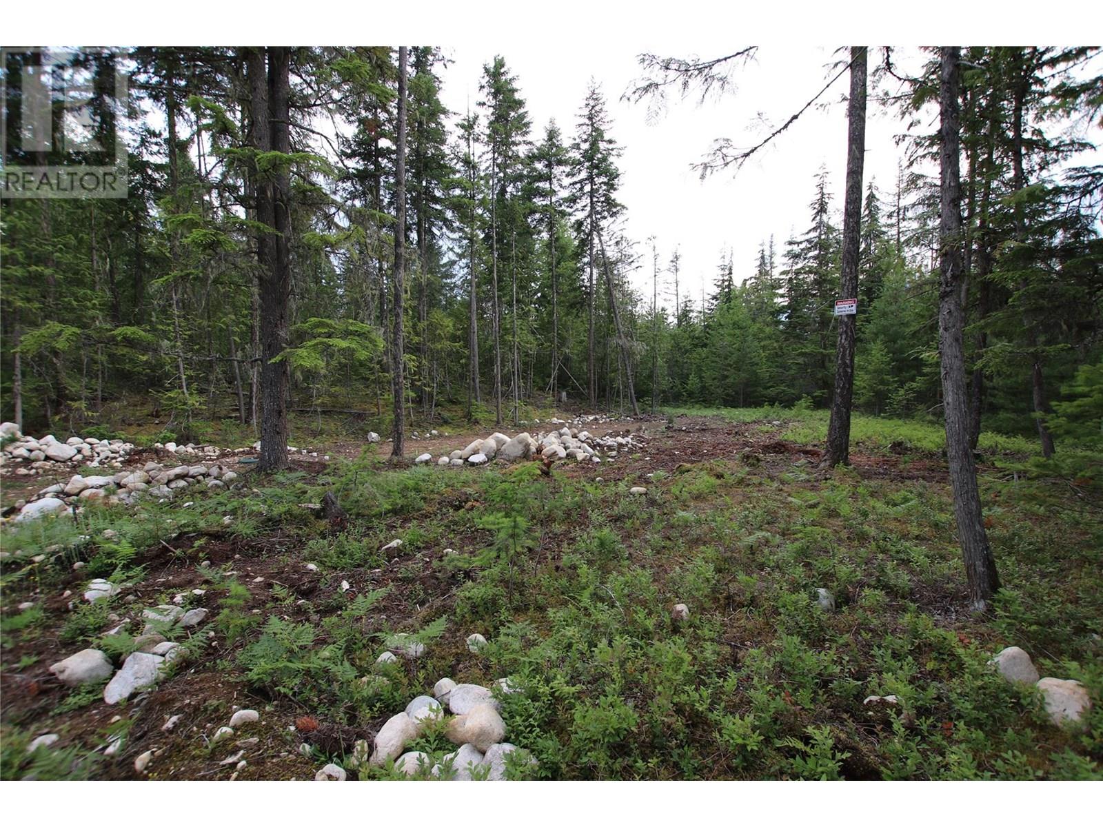 854 Alexander Road, Nakusp, British Columbia  V0G 1R1 - Photo 18 - 10353334