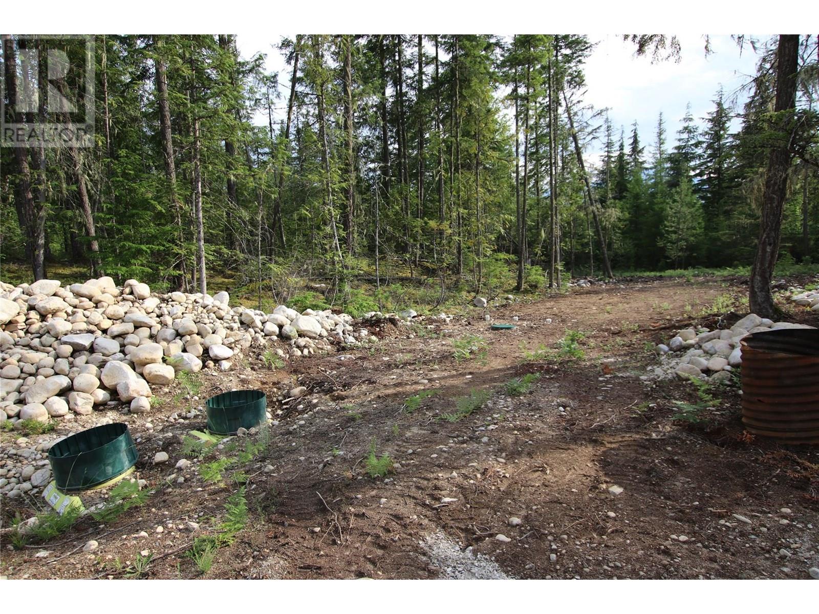 854 Alexander Road, Nakusp, British Columbia  V0G 1R1 - Photo 6 - 10353334