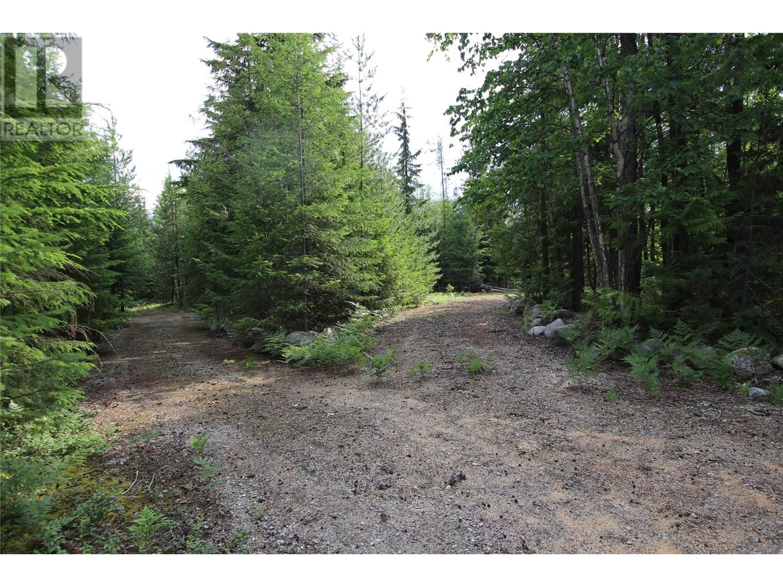 854 Alexander Road, Nakusp, British Columbia  V0G 1R1 - Photo 9 - 10353334