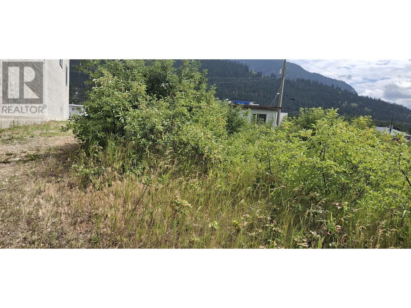 722 1st Avenue, Chase, British Columbia  V0E 1M0 - Photo 43 - 10353677