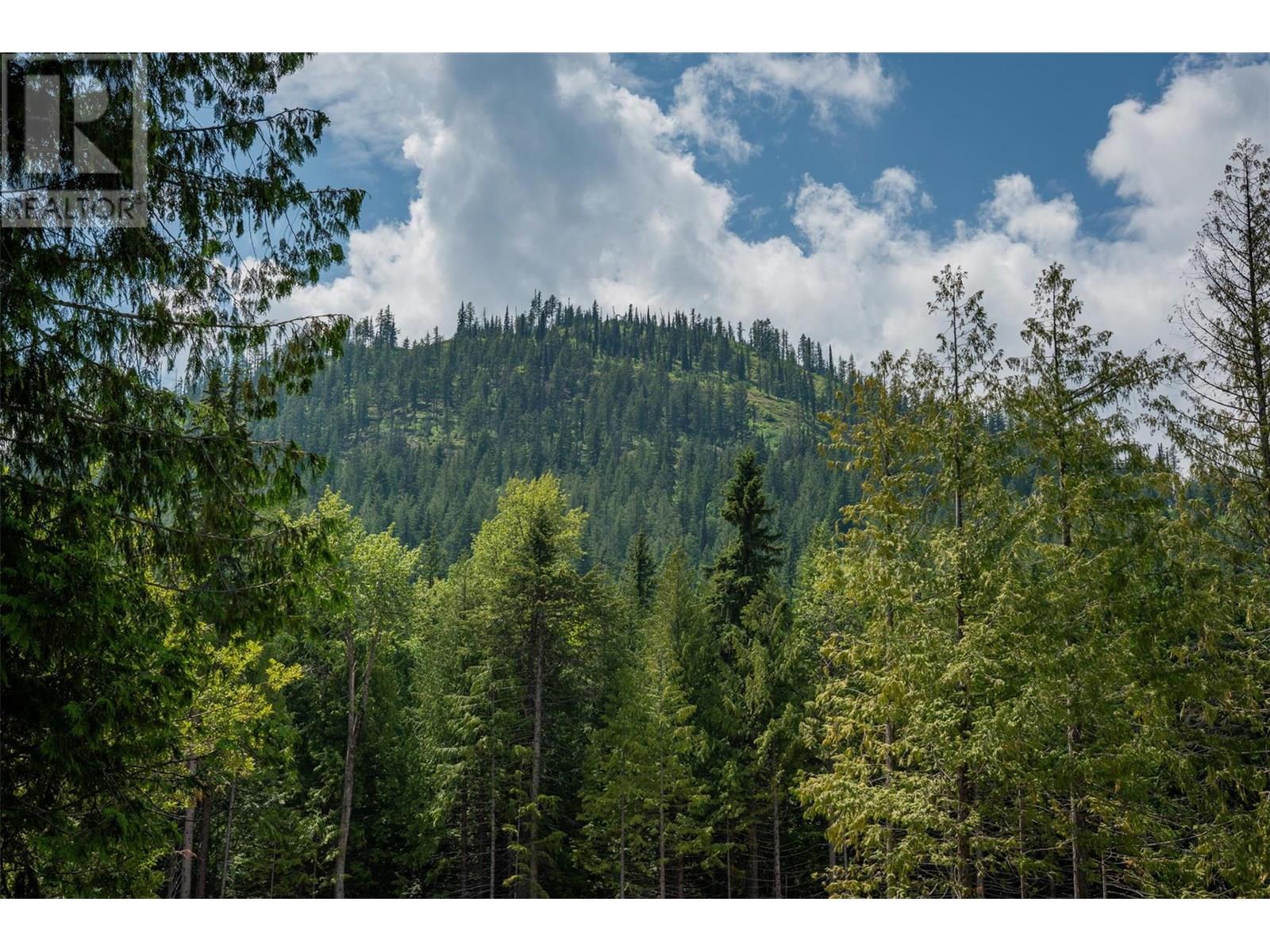 302 Larch Terr, Rossland, British Columbia  V0G 1Y0 - Photo 10 - 10353988