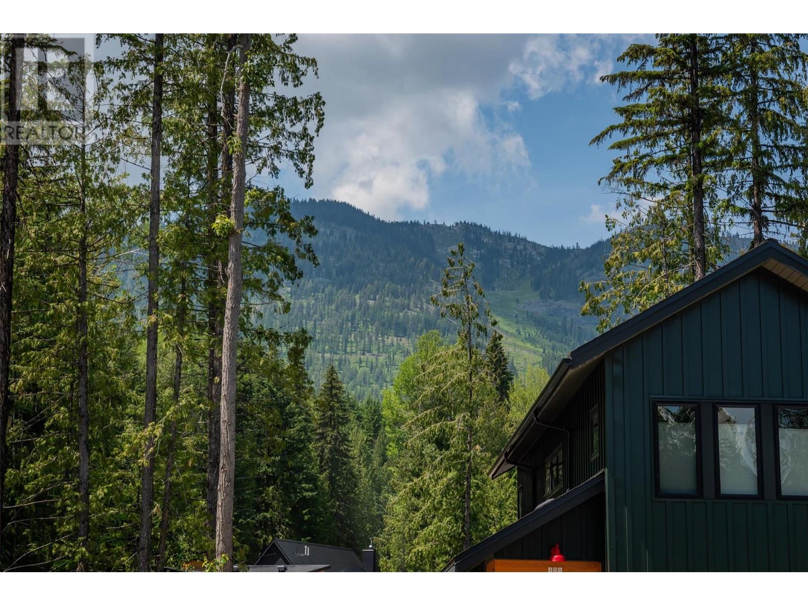 302 Larch Terr, Rossland, British Columbia  V0G 1Y0 - Photo 11 - 10353988