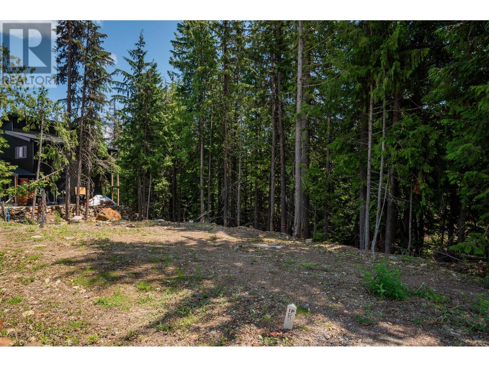 302 Larch Terr, Rossland, British Columbia  V0G 1Y0 - Photo 6 - 10353988