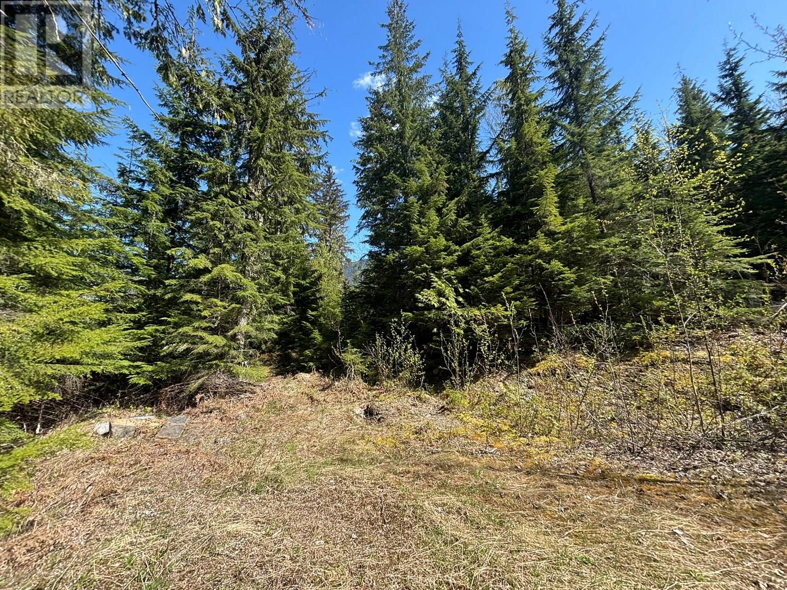 Lot 6 Salmon Creek Road Lot# 6, Beaton, British Columbia  V0E 1R2 - Photo 40 - 10354230