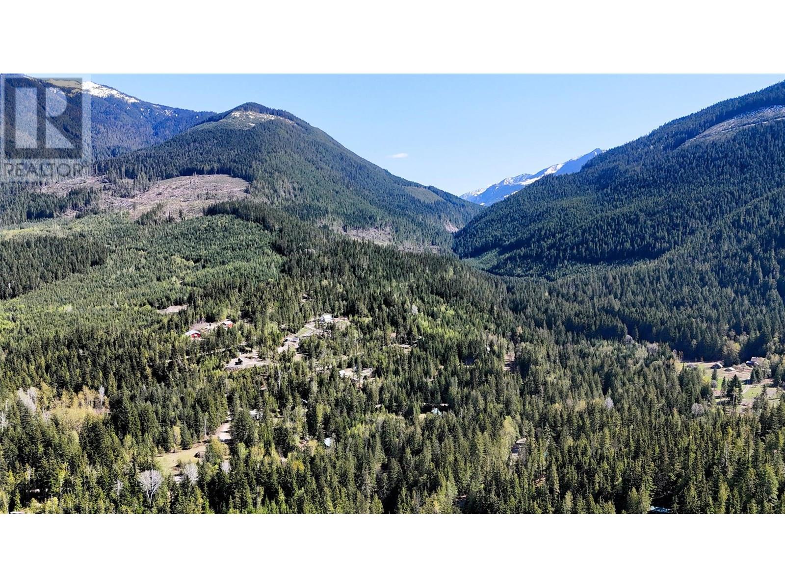 Lot 6 Salmon Creek Road Lot# 6, Beaton, British Columbia  V0E 1R2 - Photo 43 - 10354230