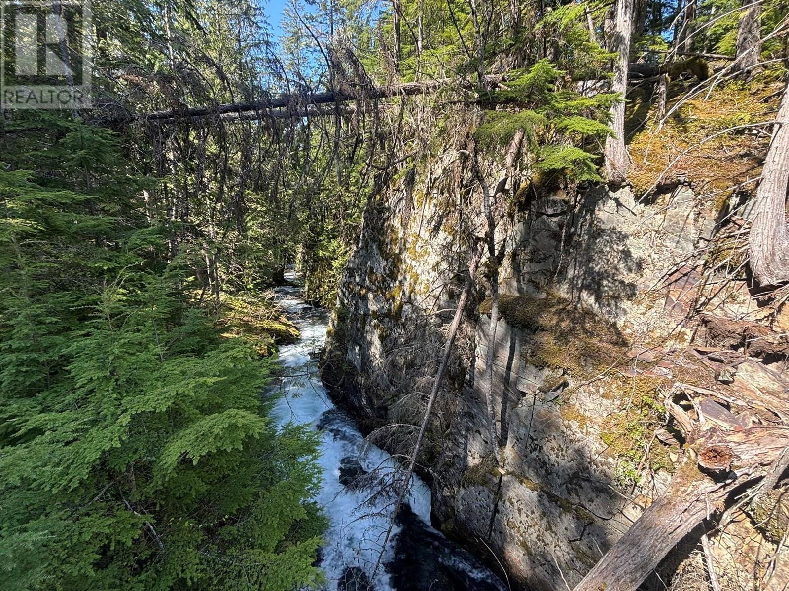 Lot 6 Salmon Creek Road Lot# 6, Beaton, British Columbia  V0E 1R2 - Photo 49 - 10354230