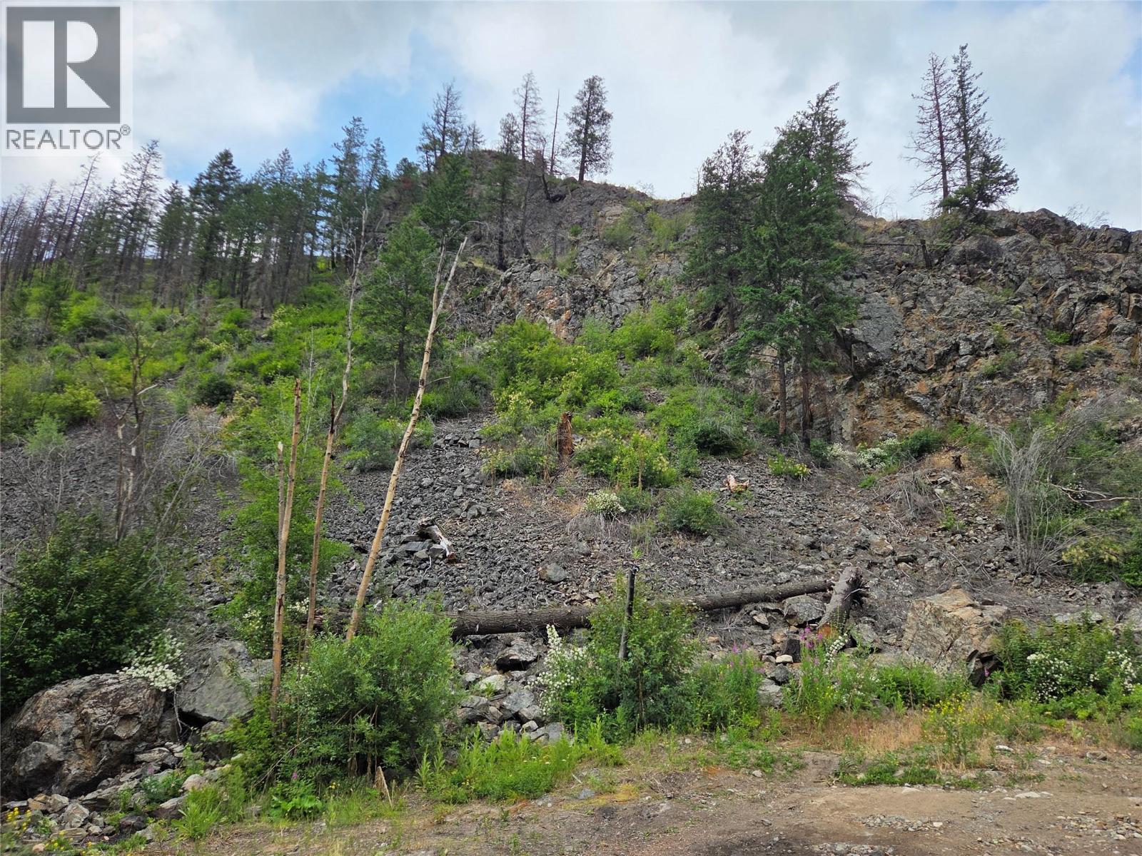 2611 Green Mountain Road, Keremeos, British Columbia  V0X 1N6 - Photo 3 - 10354340