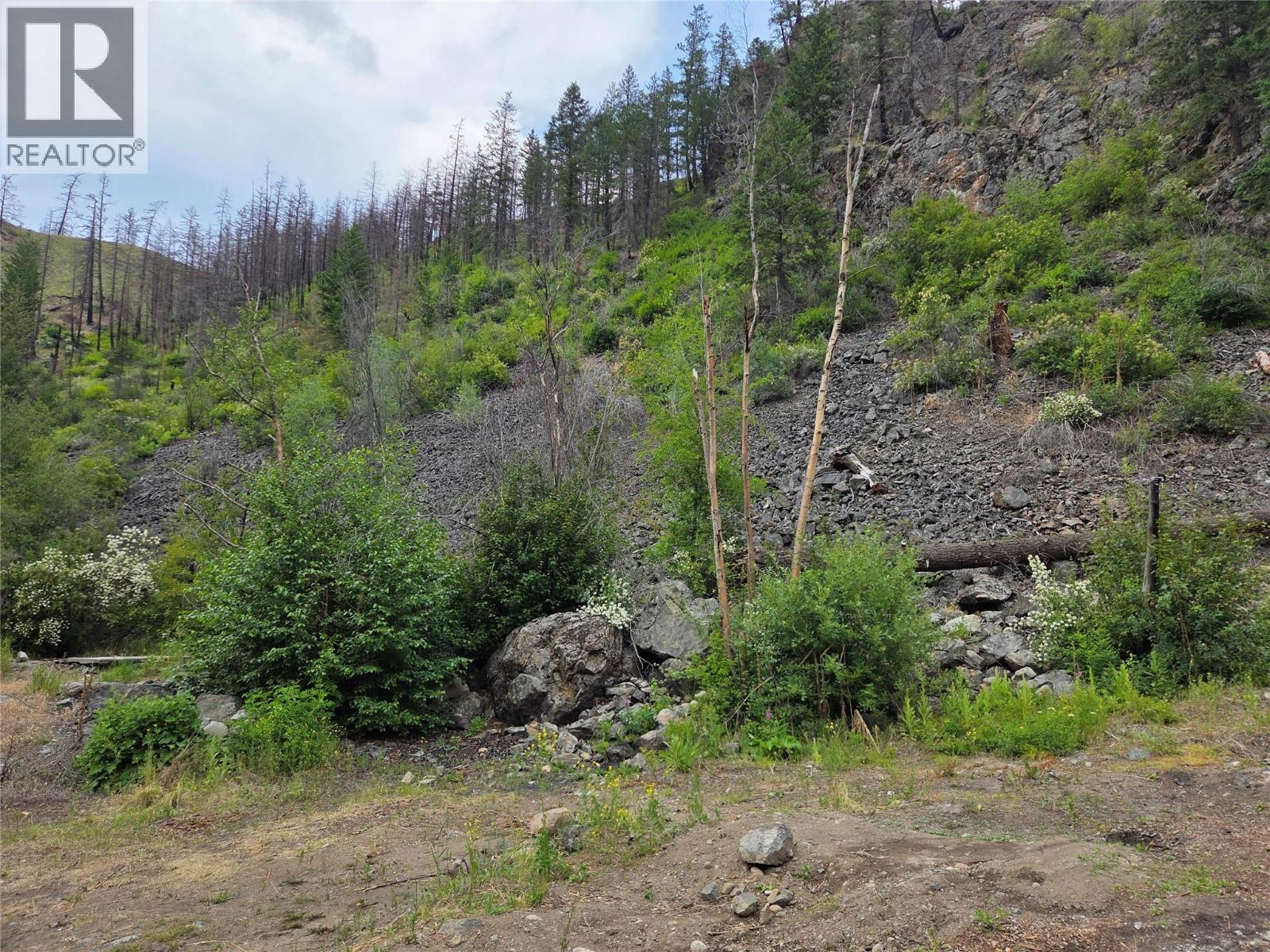 2611 Green Mountain Road, Keremeos, British Columbia  V0X 1N6 - Photo 4 - 10354340