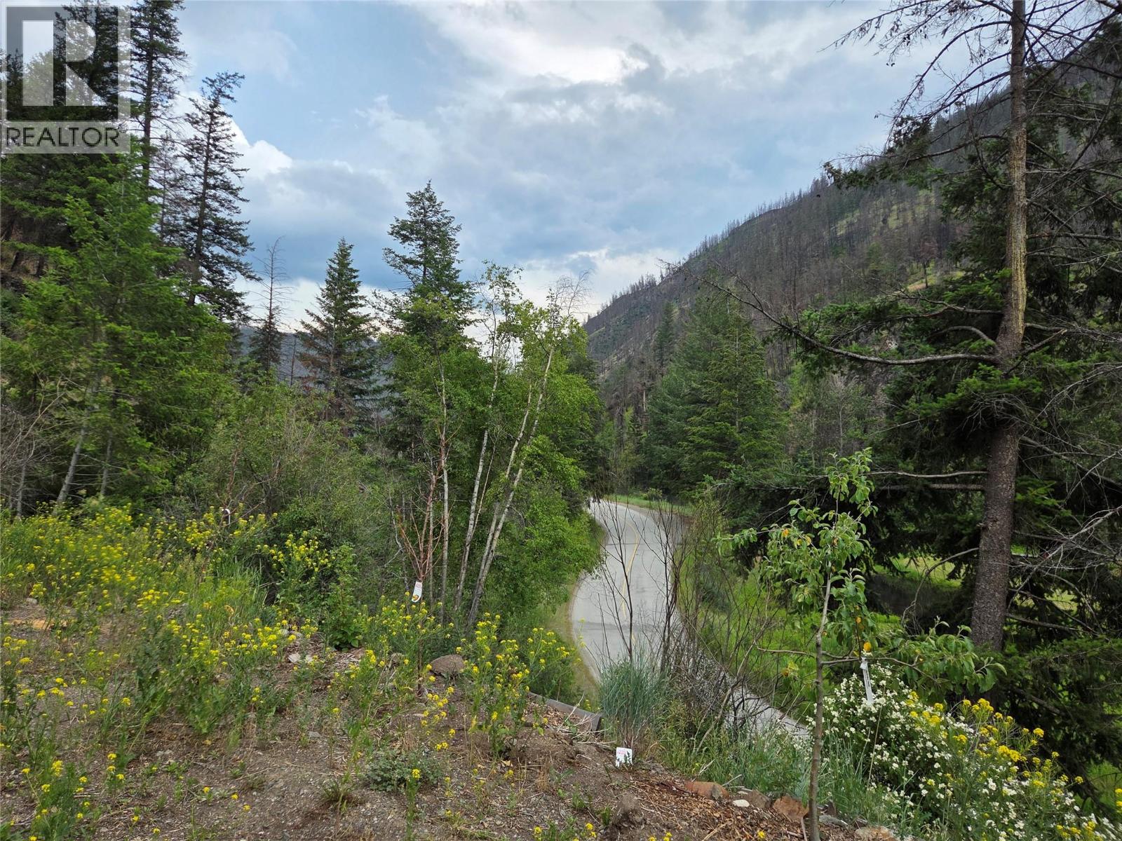 2611 Green Mountain Road, Keremeos, British Columbia  V0X 1N6 - Photo 5 - 10354340