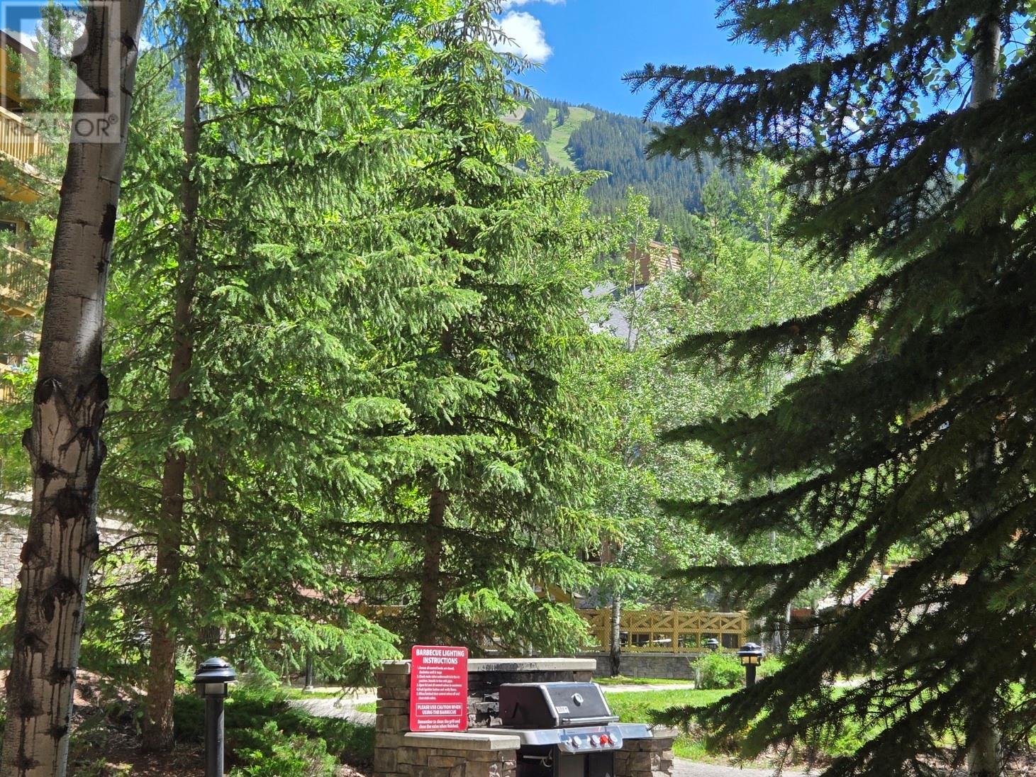 2064 Summit Drive Unit# 109, Panorama, British Columbia  V0A 1T0 - Photo 2 - 10354355