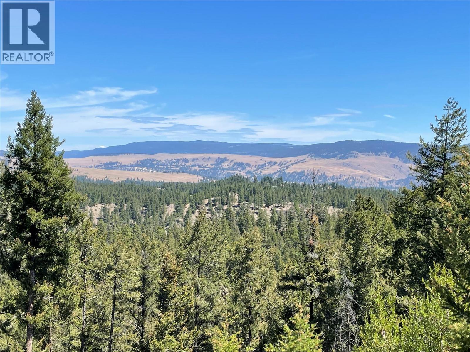 199 Old Black Mine Road, Princeton, British Columbia  V0X 1W0 - Photo 53 - 10354273