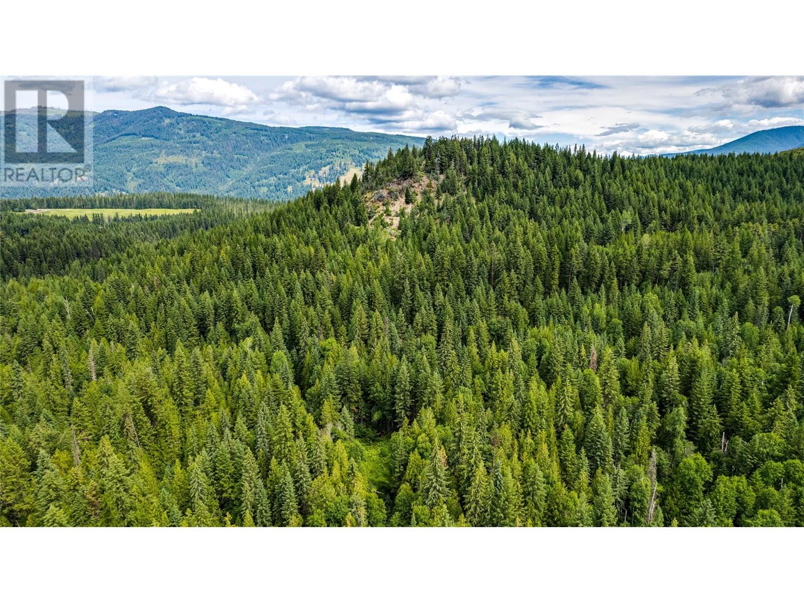 00 Richlands Road, Cherryville, British Columbia  V0E 2G1 - Photo 13 - 10353672