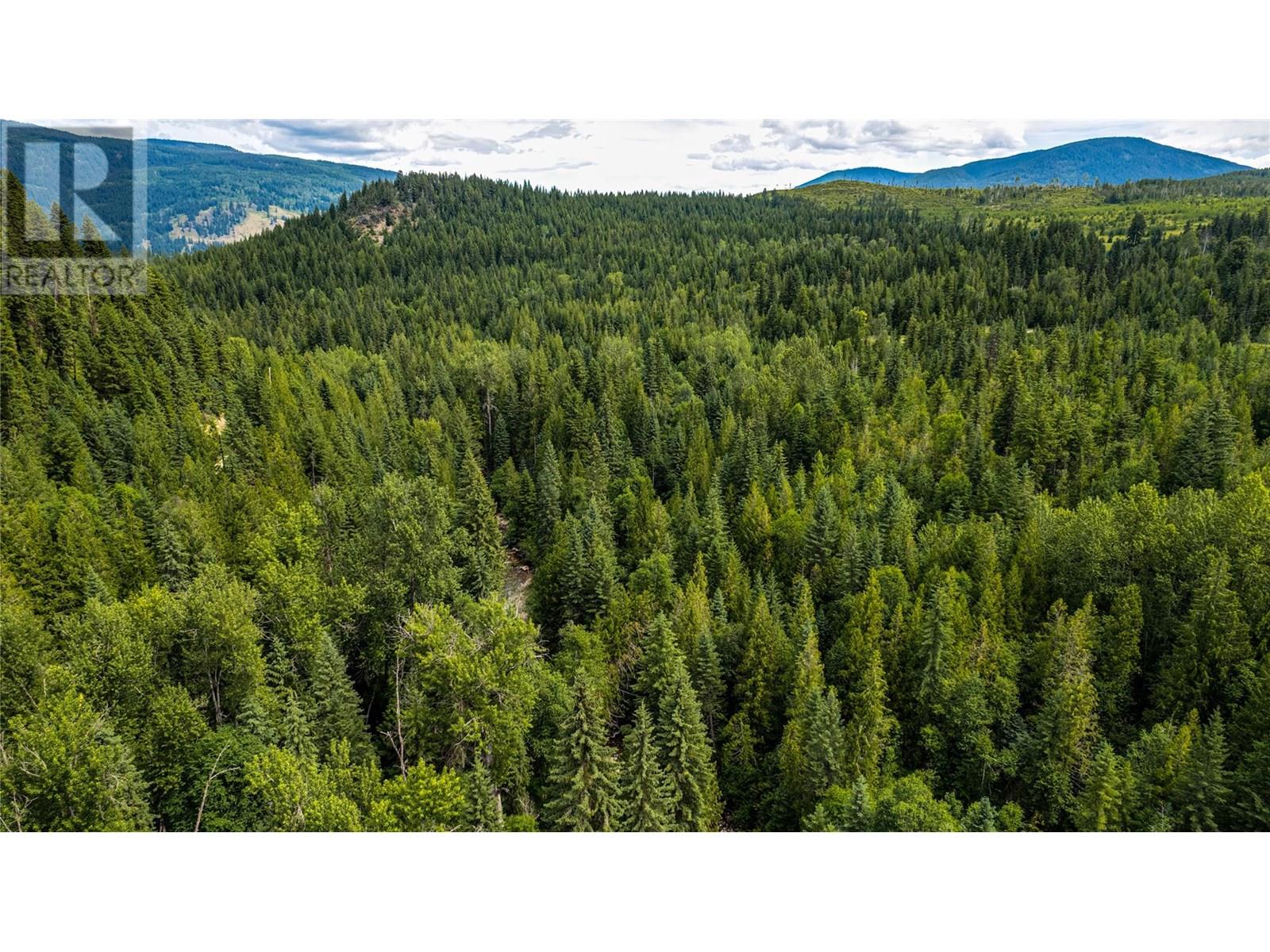 00 Richlands Road, Cherryville, British Columbia  V0E 2G1 - Photo 30 - 10353672