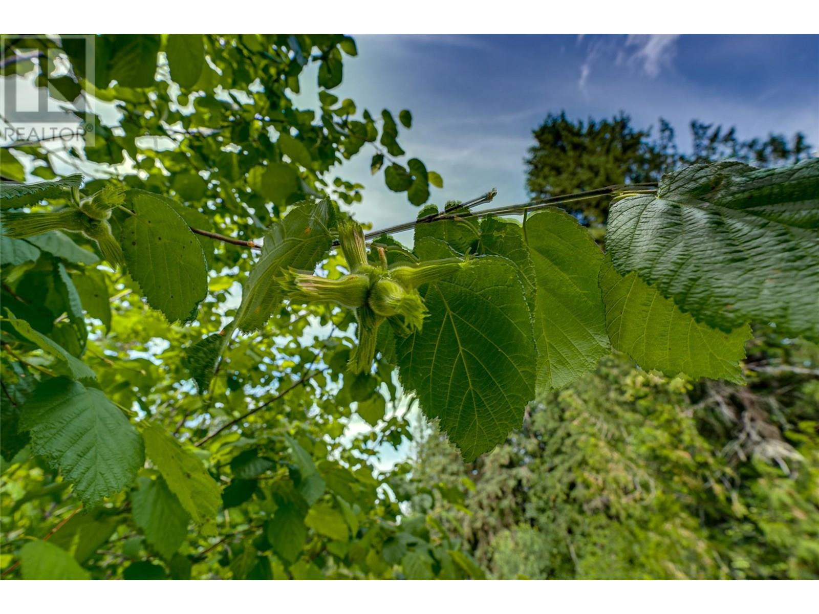 00 Richlands Road, Cherryville, British Columbia  V0E 2G1 - Photo 37 - 10353672