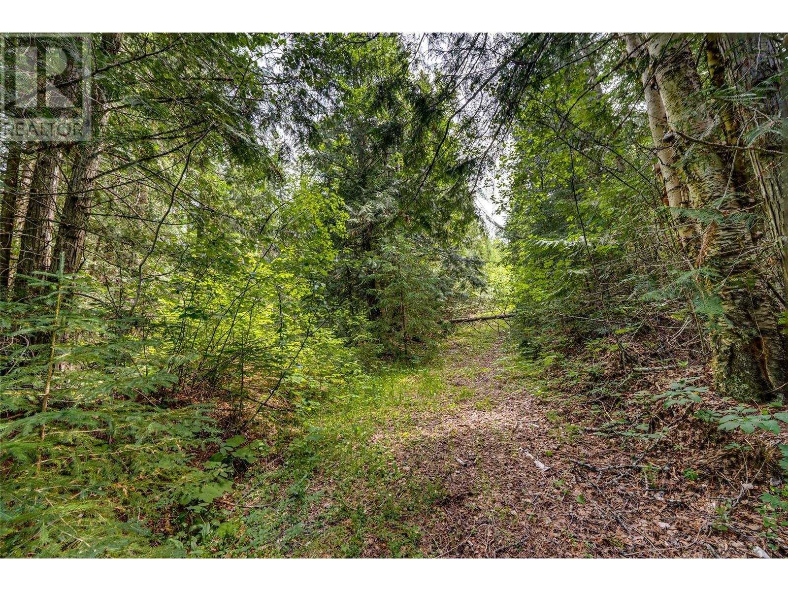 00 Richlands Road, Cherryville, British Columbia  V0E 2G1 - Photo 42 - 10353672