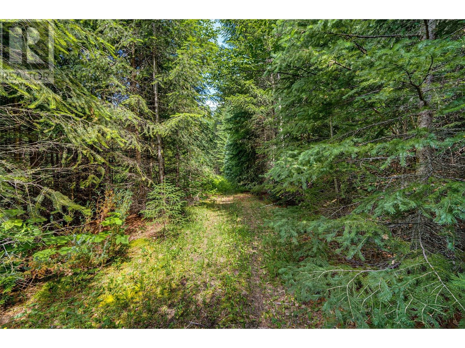 00 Richlands Road, Cherryville, British Columbia  V0E 2G1 - Photo 44 - 10353672