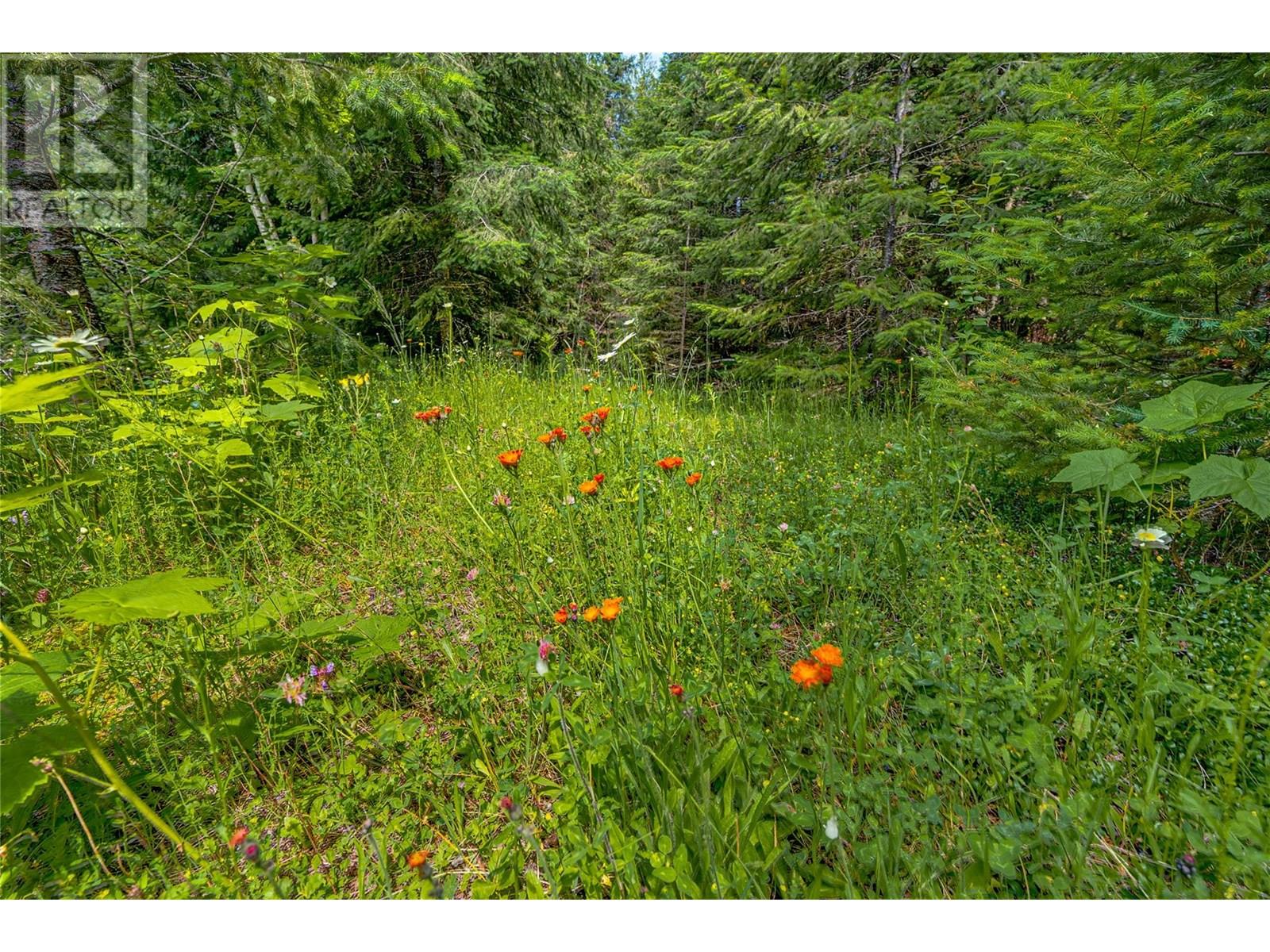 00 Richlands Road, Cherryville, British Columbia  V0E 2G1 - Photo 45 - 10353672