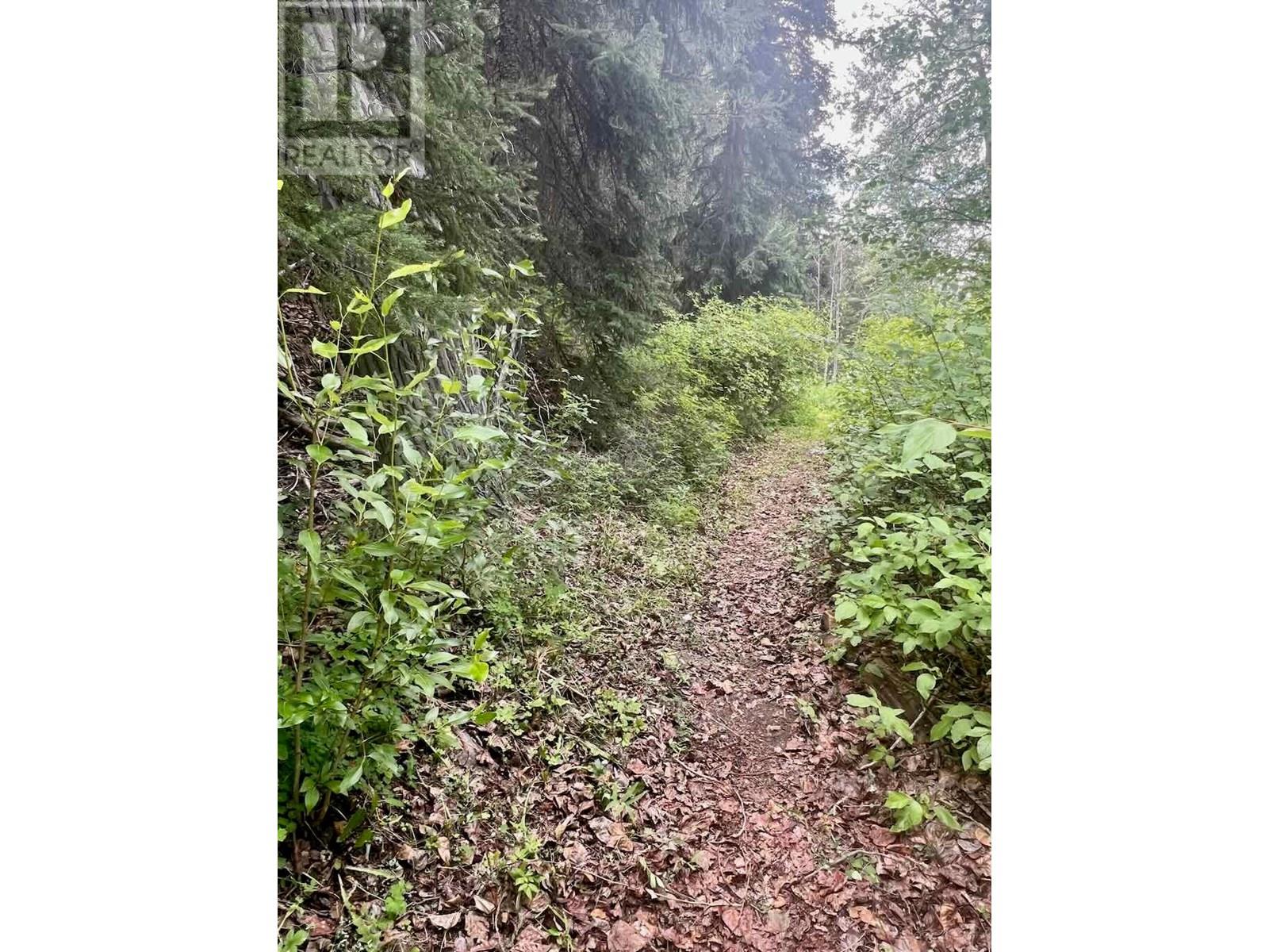 820 Kane Valley Road, Merritt, British Columbia  V1K 1B8 - Photo 15 - 10354625