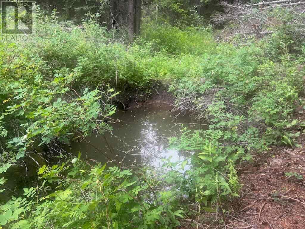 820 Kane Valley Road, Merritt, British Columbia  V1K 1B8 - Photo 17 - 10354625