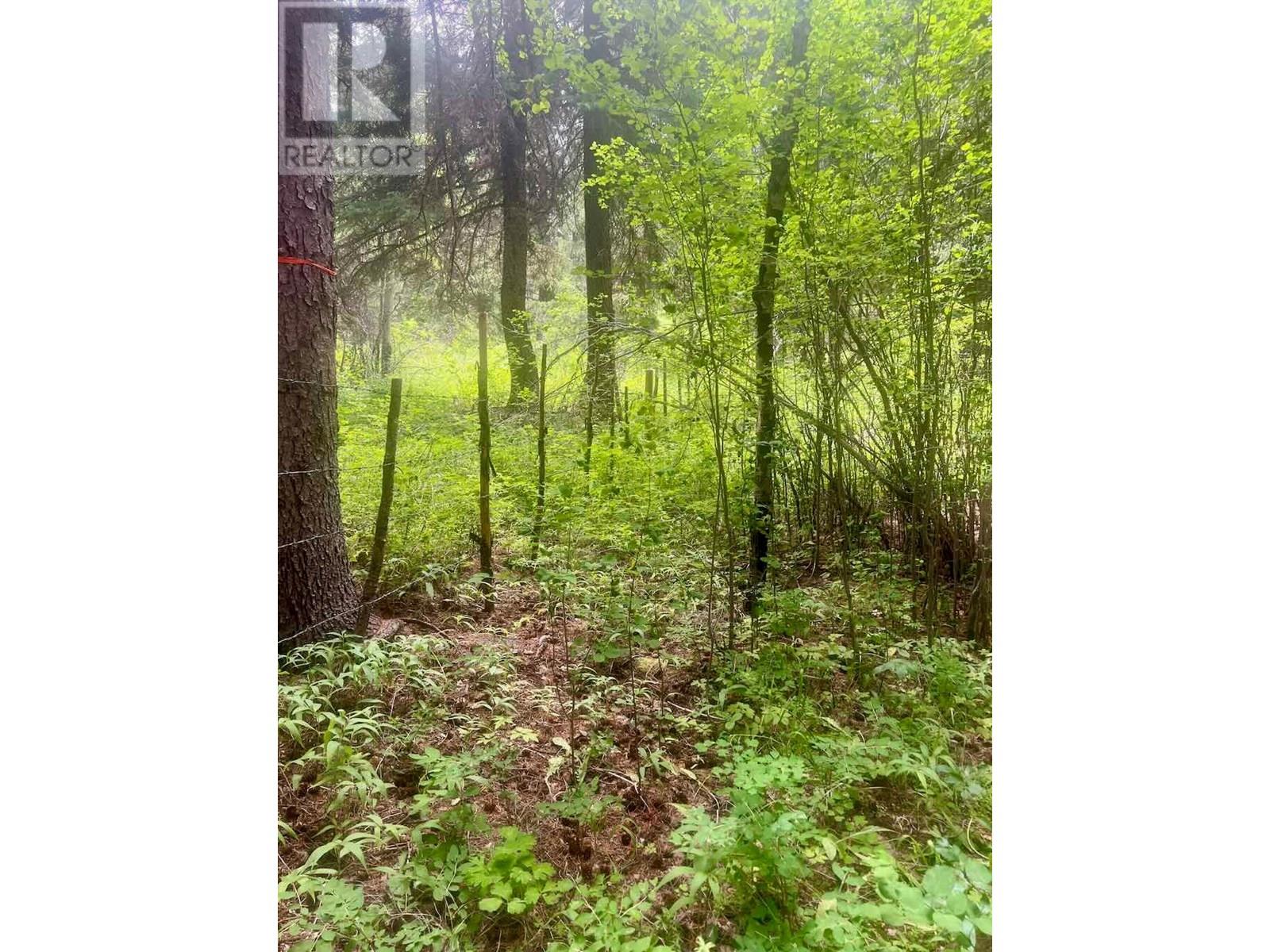 820 Kane Valley Road, Merritt, British Columbia  V1K 1B8 - Photo 19 - 10354625