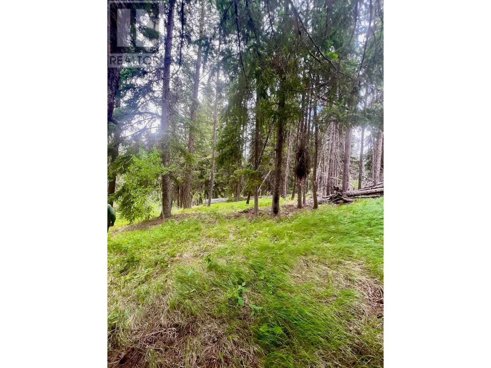 820 Kane Valley Road, Merritt, British Columbia  V1K 1B8 - Photo 20 - 10354625