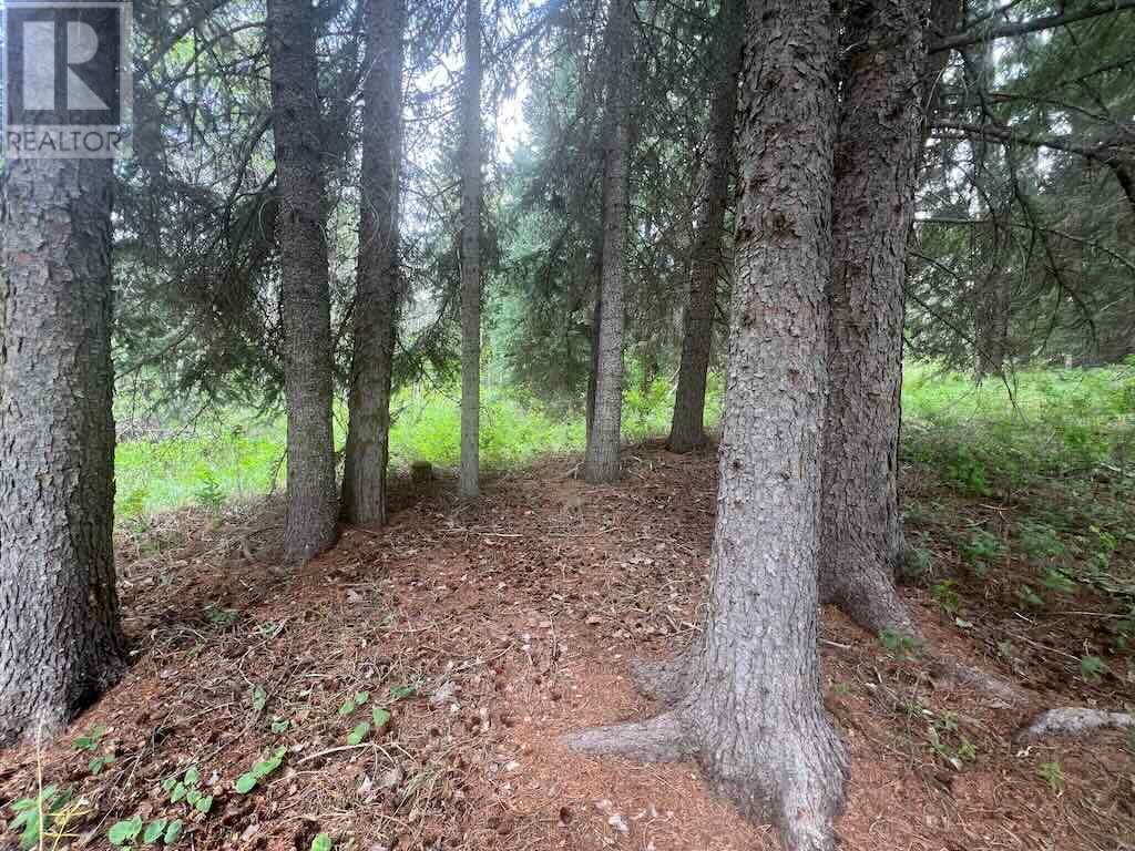 820 Kane Valley Road, Merritt, British Columbia  V1K 1B8 - Photo 21 - 10354625