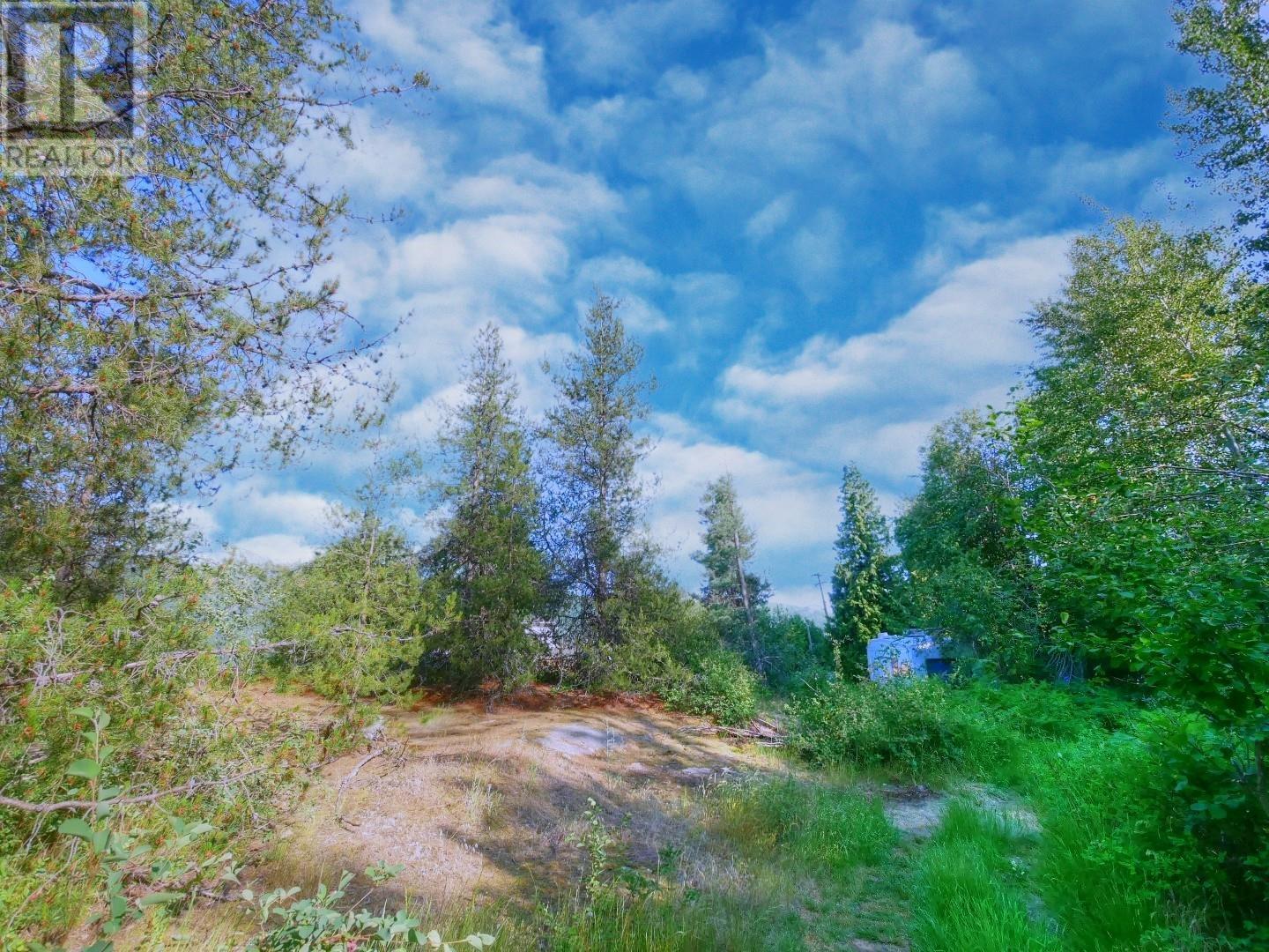 3000 9th Avenue, Castlegar, British Columbia  V1N 2X9 - Photo 10 - 10354848