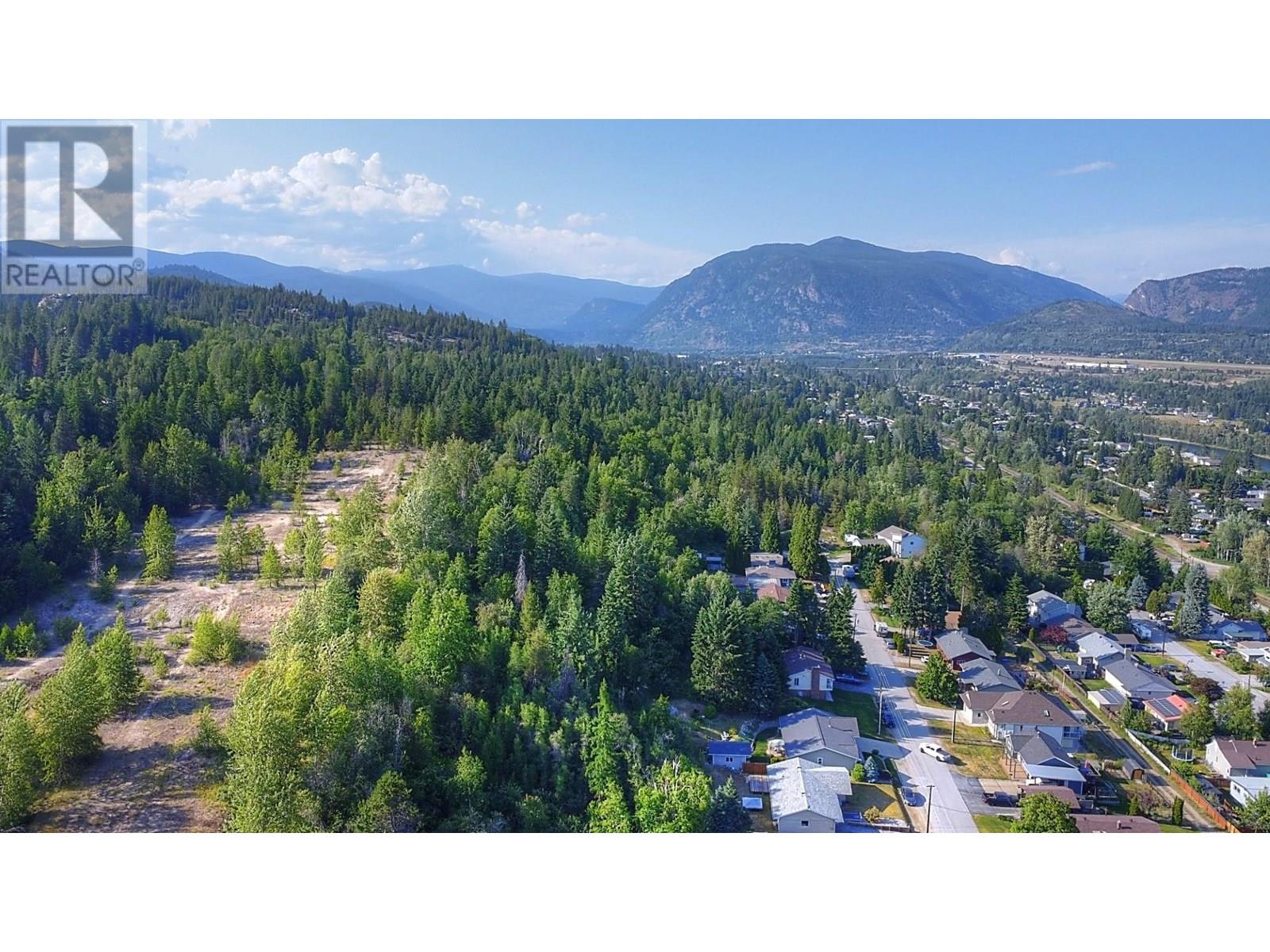 3000 9th Avenue, Castlegar, British Columbia  V1N 2X9 - Photo 2 - 10354848