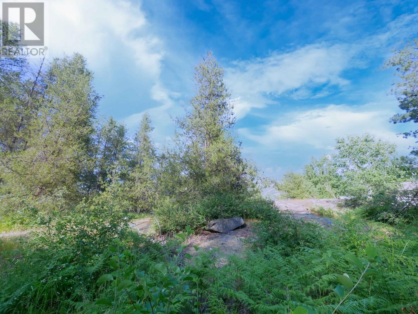 3000 9th Avenue, Castlegar, British Columbia  V1N 2X9 - Photo 6 - 10354848