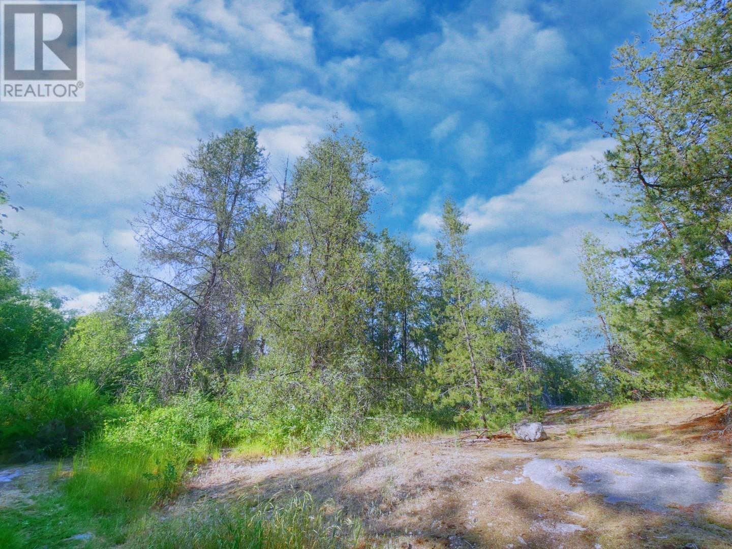 3000 9th Avenue, Castlegar, British Columbia  V1N 2X9 - Photo 7 - 10354848