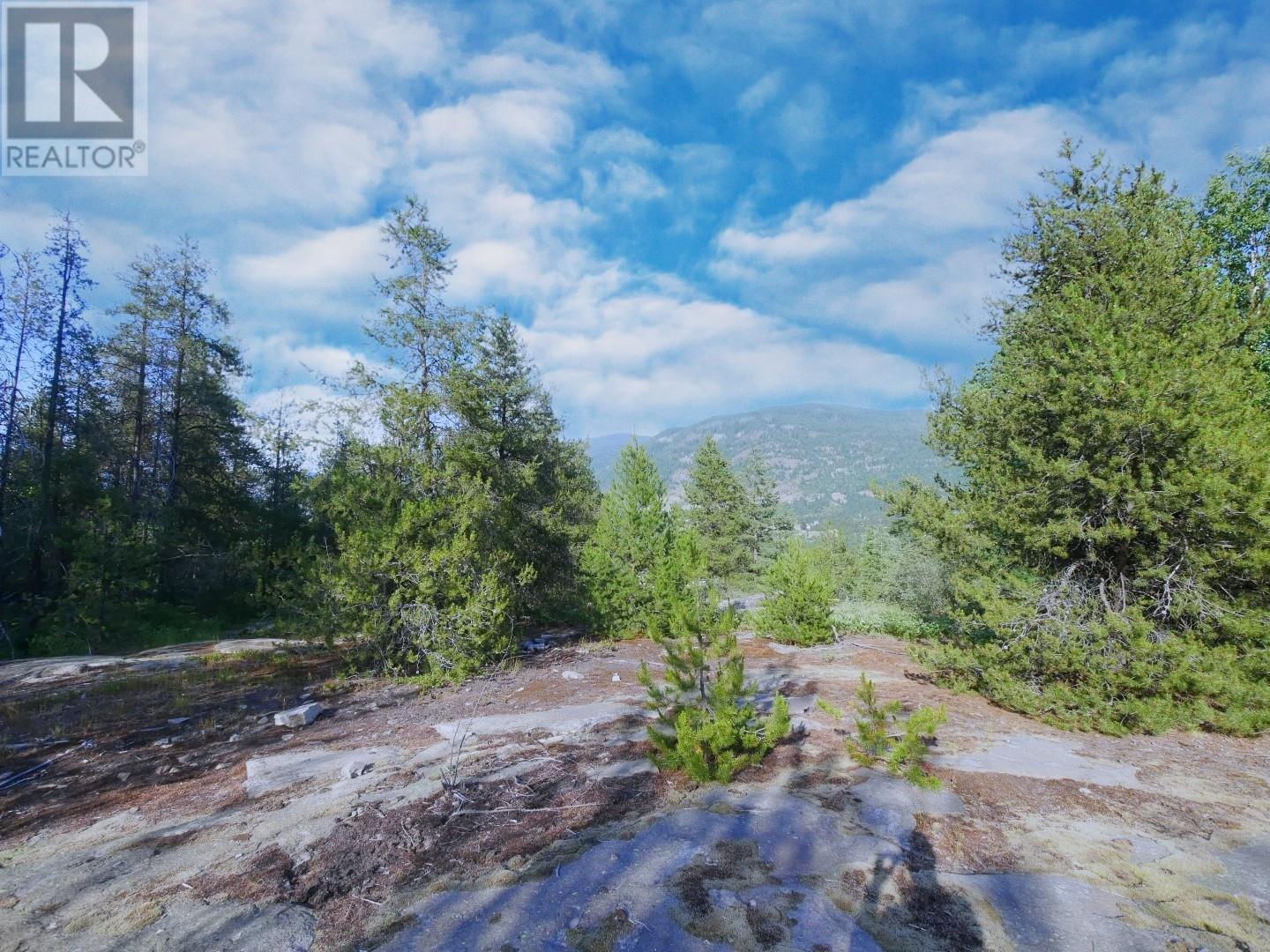 3000 9th Avenue, Castlegar, British Columbia  V1N 2X9 - Photo 8 - 10354848