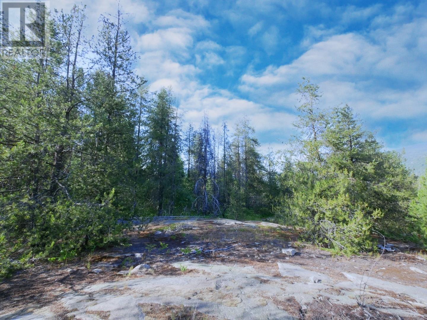 3000 9th Avenue, Castlegar, British Columbia  V1N 2X9 - Photo 9 - 10354848