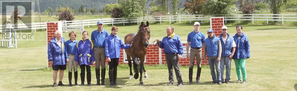 910 Lumby Mabel Lake Road, Lumby, British Columbia  V0E 2G5 - Photo 70 - 10354812