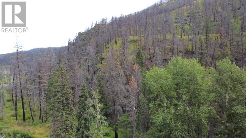 6520 Deadman Vidette Road, Out Of Area, British Columbia  V0K 2J0 - Photo 4 - 10354895