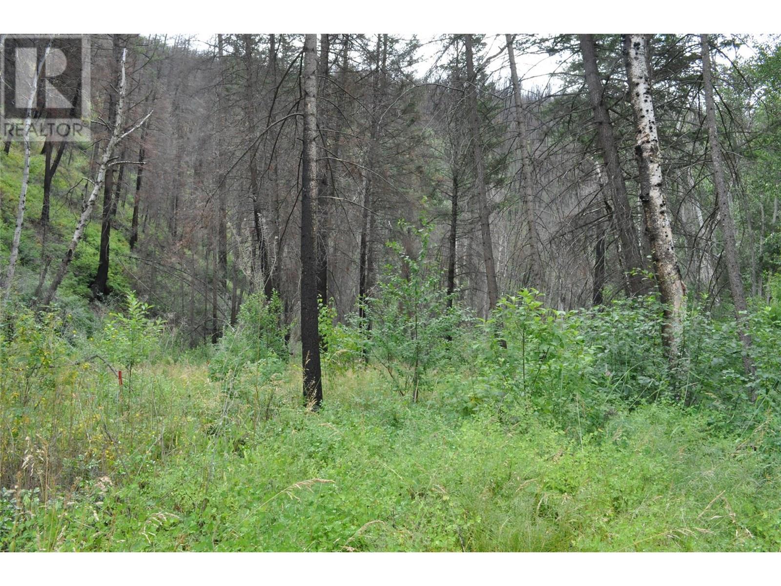 6520 Deadman Vidette Road, Out Of Area, British Columbia  V0K 2J0 - Photo 46 - 10354895