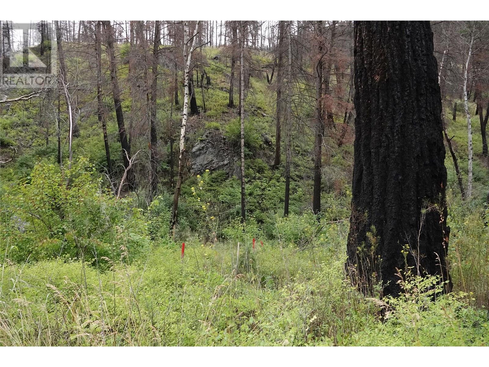 6520 Deadman Vidette Road, Out Of Area, British Columbia  V0K 2J0 - Photo 70 - 10354895